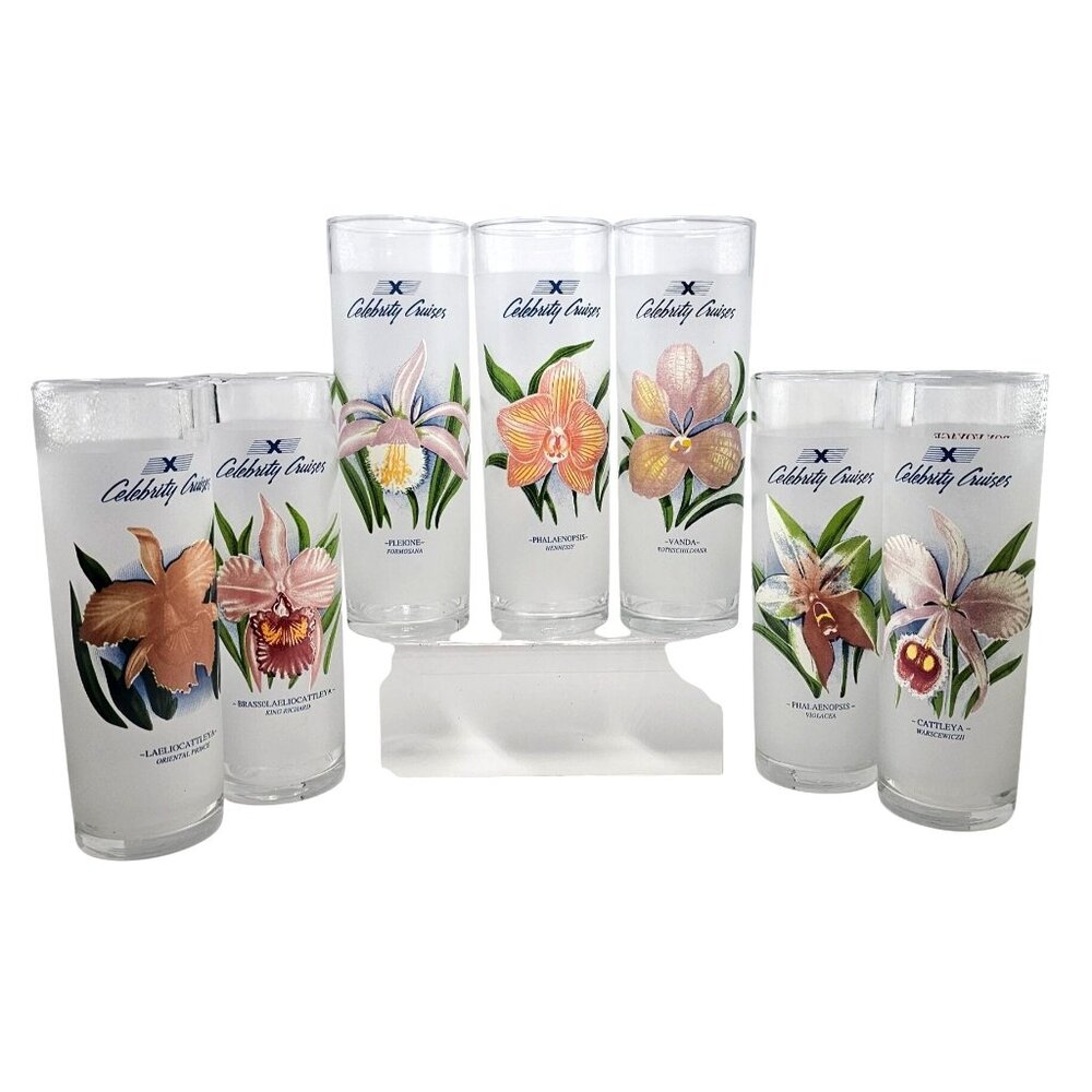 Celebrity Cruises Frosted Tropical Orchid Highball Collins Glasses Set Of 7